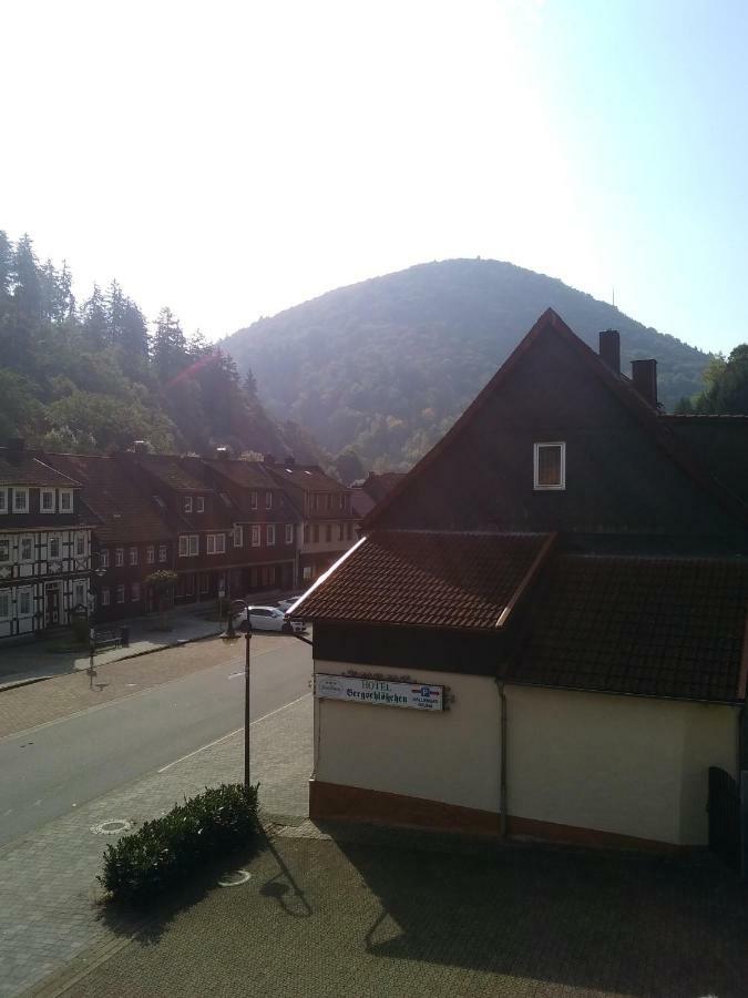 Zorge Hotel Bergschlosschen מראה חיצוני תמונה